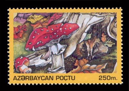 Fly Agaric Stamp