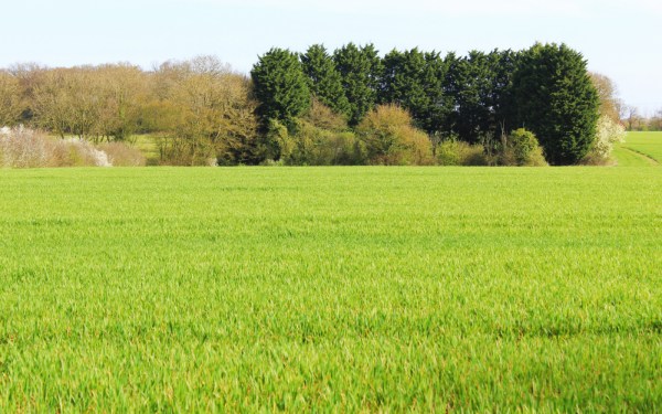Mud Hall and Pirnow Green