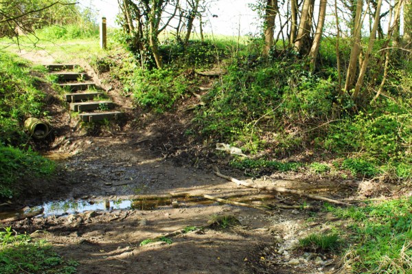 Mud Hole, Saxlingham