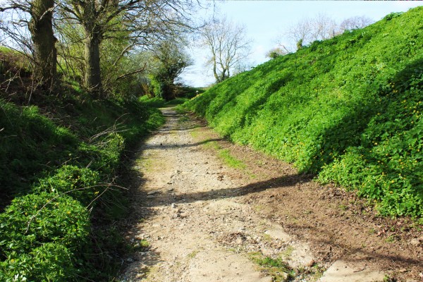 Wash Lane, Saxlingham