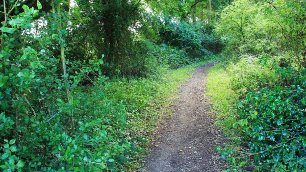 Old Road from Hempnall to Saxlingham Thorpe