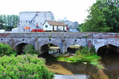 Newton Flotmill Mill