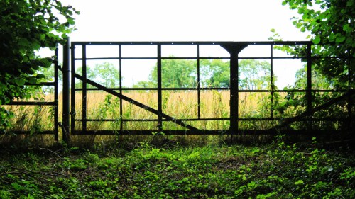 August Gate at Bergh Apton