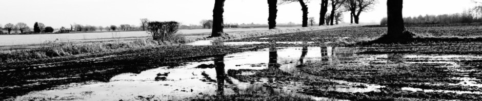 BandWhiteReflections