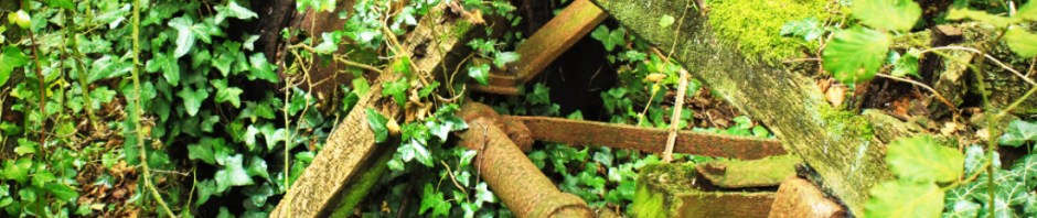 Cart and Ivy Vintage Nature