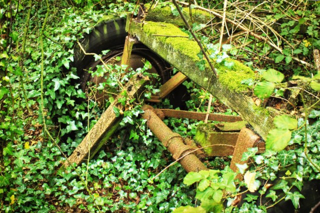 Cart and Ivy Vintage Nature