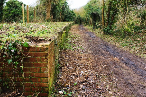 Marriotts Way at New Costessey