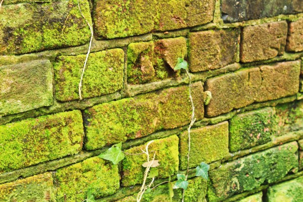 Bricks at Costessey Station