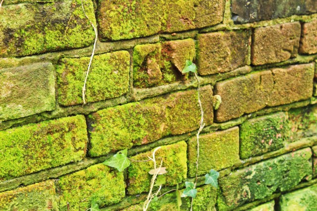 Bricks at Costessey Station