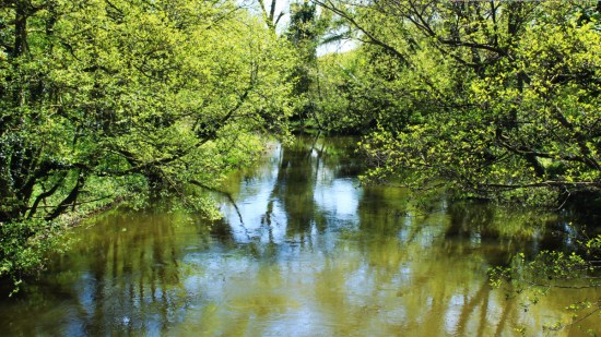 River Wensum at Hellesdon Bridge