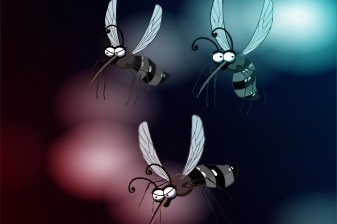 gnats for fun