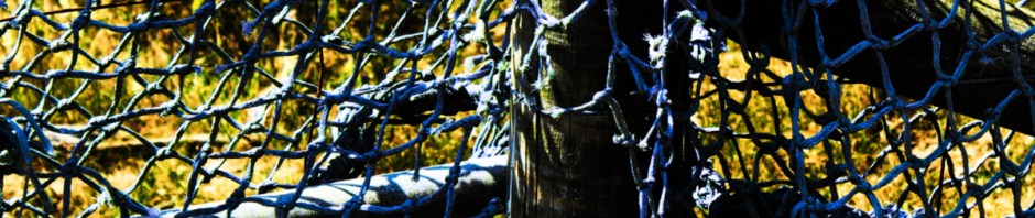 fishing net at Southwold