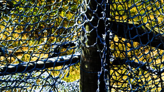 fishing net at Southwold