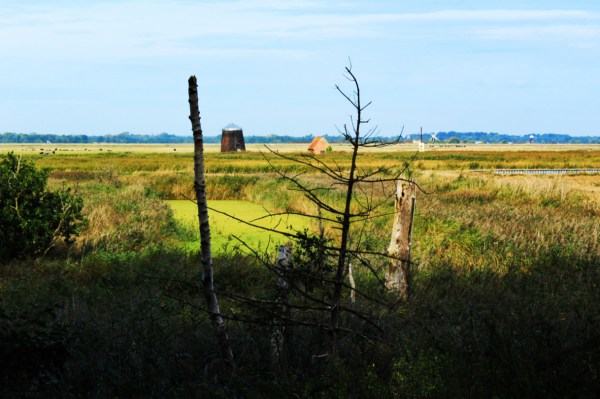 Mills on the Waveney