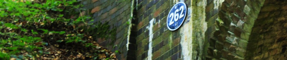 Bride over Marriots Way