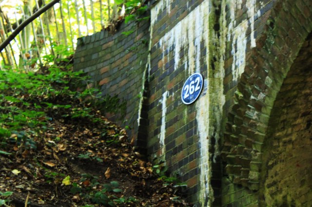 Bride over Marriots Way