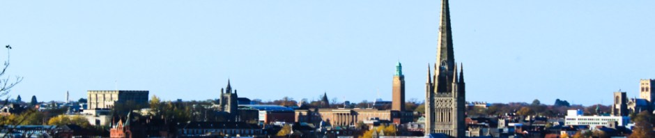 Norwich from Mousehold