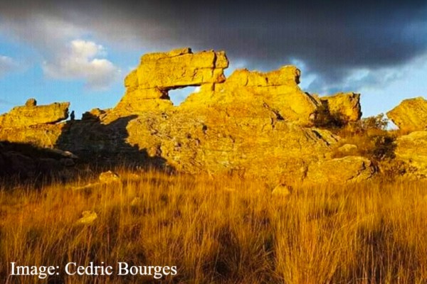Madagascar by Cedric Bourges